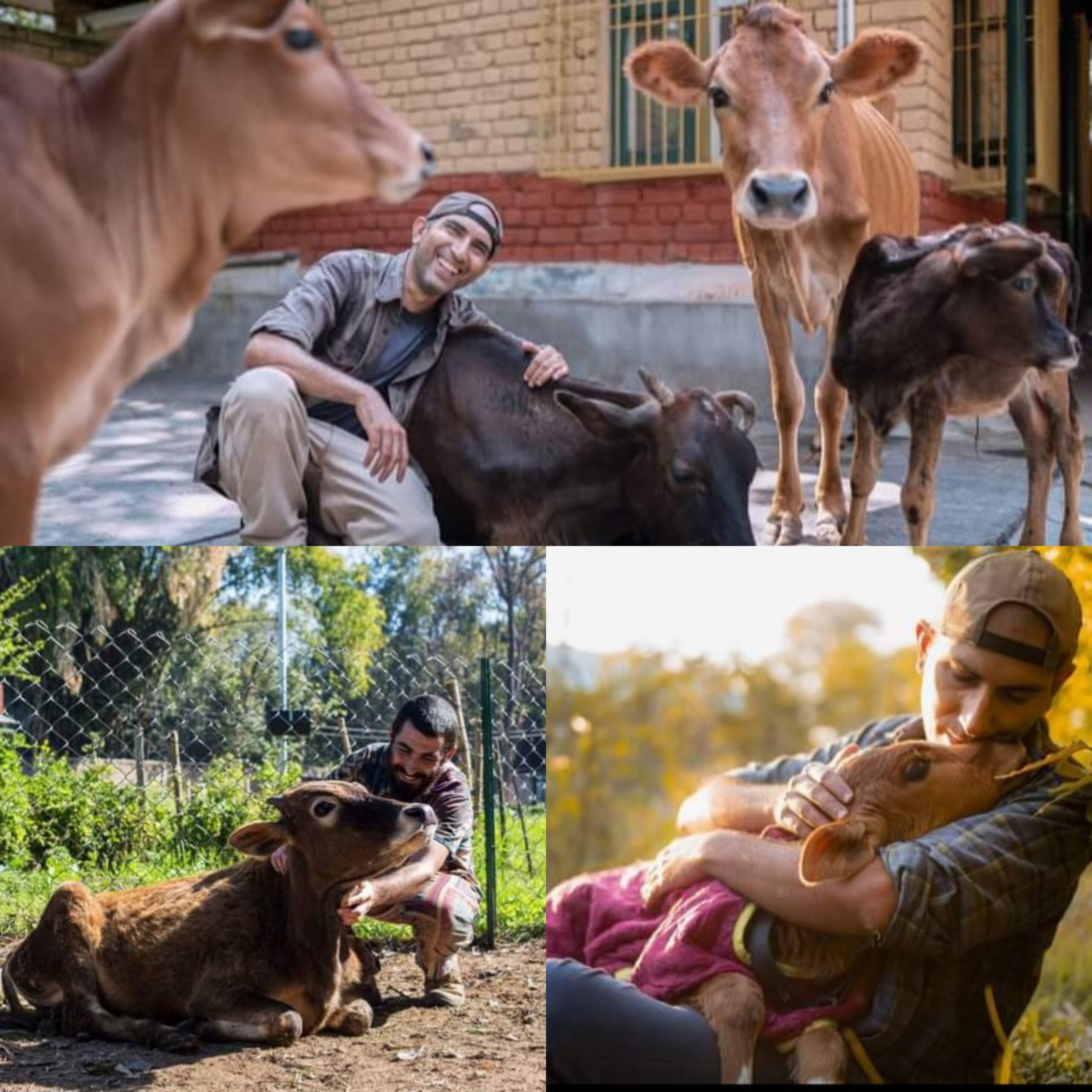 पीपल फार्म आवारा जानवरों,के लिए आश्रय और चिकित्सा देखभाल प्रदान करता है- रविंद्र आर्य