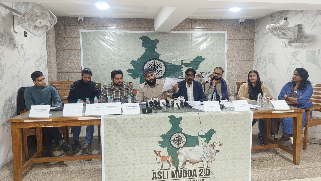 रेबीज और आवारा कुत्तों पर गलत आंकड़े, सुप्रीम कोर्ट आदेश से बढ़ी क्रूरता: संक्षय बब्बर